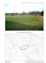 Gomilno grobišče v Bišu